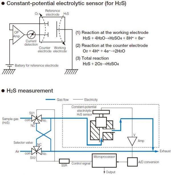 H2S Biogas