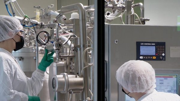 bayer lipide curevac 100 v gseapremiumxl